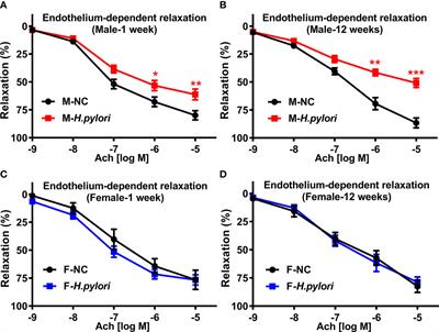 Helicobacter pylori infection selectively attenuates endothelial function in male mice via exosomes-mediated ROS production